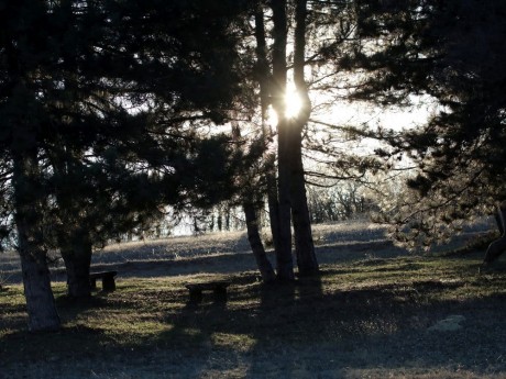 Újra megnyitja kapuit a Pákozd-Sukorói Arborétum szerdától